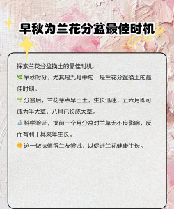什么季节可以给花换土 什么季节可以给花换土