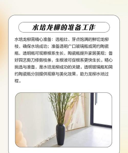 垂柳的养殖方法和注意事项 垂柳的养殖方法和注意事项