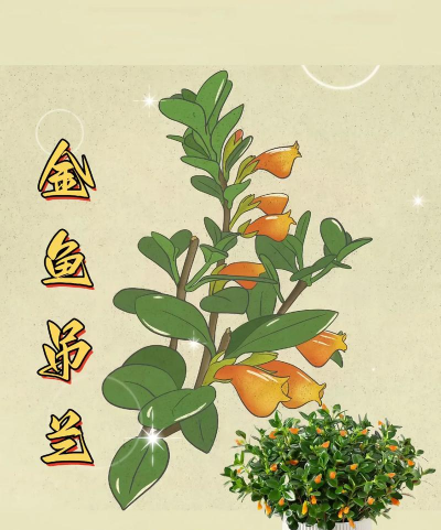 鱼 花 成语有哪些 鱼 花 成语有哪些