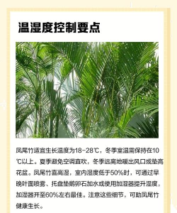 凤尾竹怎么修剪 凤尾竹怎么修剪