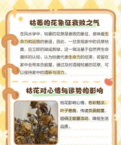 为什么花夏季容易死 为什么花夏季容易死