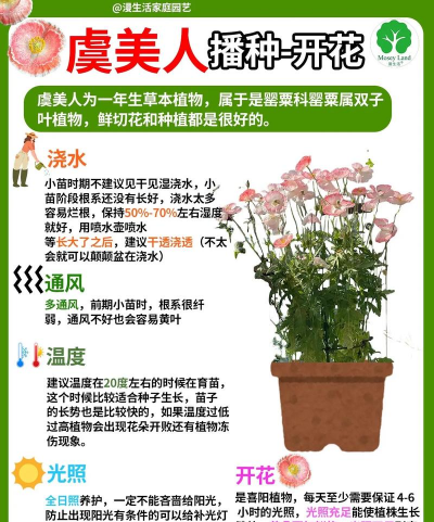 虞美人怎么浇水 虞美人怎么浇水