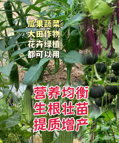 阳台上种菜浇什么肥 阳台上种菜浇什么肥