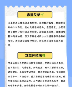 我想种植艾草怎么种植呢 我想种植艾草怎么种植呢