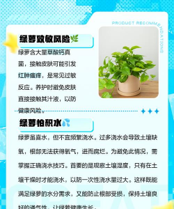 绿萝的好处和坏处 绿萝的好处和坏处