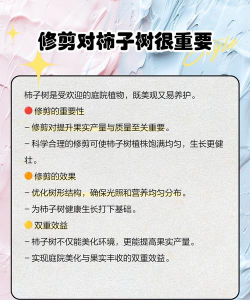 柿子树修剪时间和方法 柿子树修剪时间和方法
