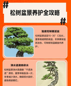 松树盆景养护与管理 松树盆景养护与管理