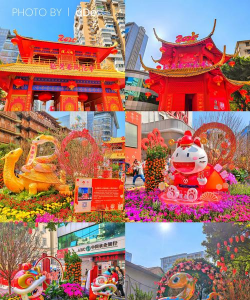 广州花市多少钱 广州花市多少钱