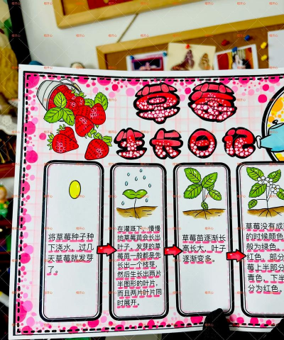 种植园地草莓怎么种植的 种植园地草莓怎么种植的