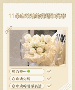 白玫瑰的寓意是什么意思 白玫瑰的寓意是什么意思