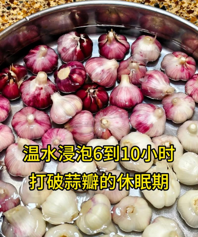 大蒜种后天天下雨怎么办 大蒜种后天天下雨怎么办