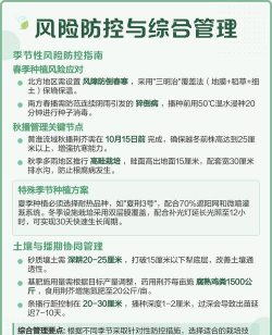 种植荆芥怎么样种植的 种植荆芥怎么样种植的