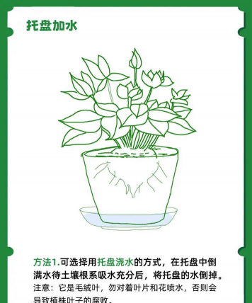 长时间不在家,花怎么浇水 长时间不在家,花怎么浇水