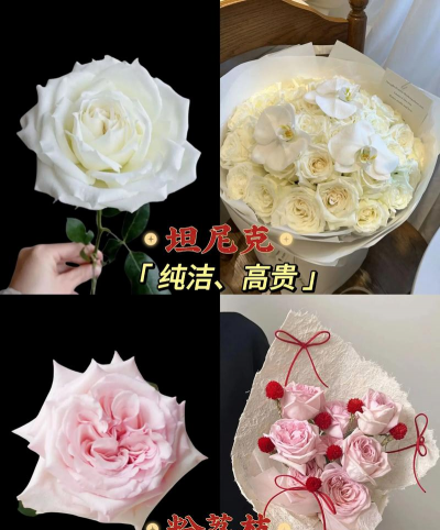 花型玫瑰有哪些 花型玫瑰有哪些