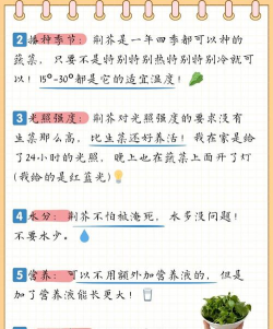 荆芥种植的时间和方法 荆芥种植的时间和方法