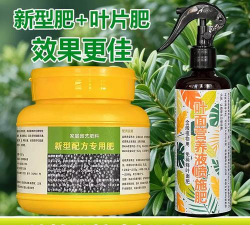 竹柏用什么肥料好 竹柏用什么肥料好