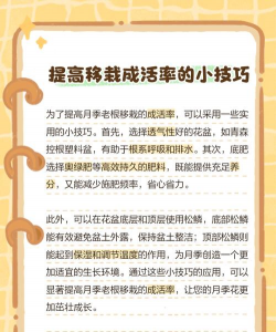 移栽月季花注意什么 移栽月季花注意什么