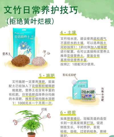 绿植养护知识和方法 绿植养护知识和方法