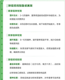 宝塔菜如果种植怎么种植 宝塔菜如果种植怎么种植