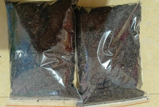 甜菜种植种子怎么种植的 甜菜种植种子怎么种植的