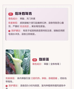 家里最常见的什么有毒 家里最常见的什么有毒