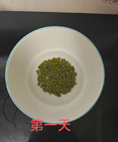 绿豆什么时候种植 绿豆什么时候种植