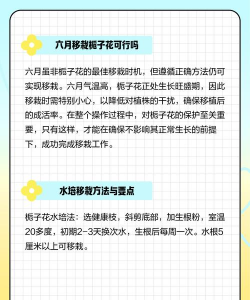 栀子花几月移栽好 栀子花几月移栽好