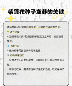 紫藤萝种植种子怎么种植 紫藤萝种植种子怎么种植
