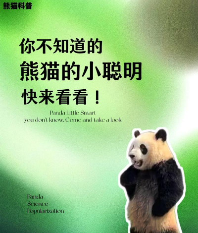 熊猫智商相当于人类几岁 熊猫智商相当于人类几岁