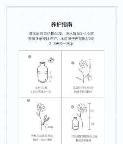 洋桔梗 洋桔梗百科 洋桔梗 洋桔梗百科