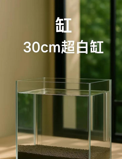 水草种植水缸怎么种植的 水草种植水缸怎么种植的