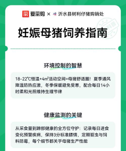 母猪怀孕期间怎样饲养 母猪怀孕期间怎样饲养