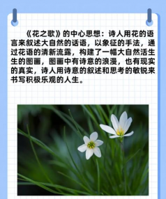 唱花有哪些歌 唱花有哪些歌