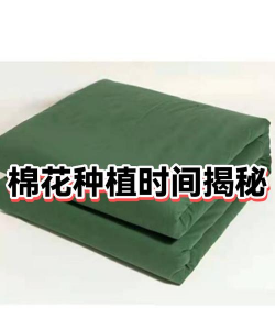 5月份种棉花晚不晚 5月份种棉花晚不晚