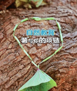 红薯生长周期多少天 红薯生长周期多少天