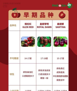 车厘子 车厘子百科 车厘子 车厘子百科