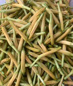 黄花菜 黄花菜百科 黄花菜 黄花菜百科