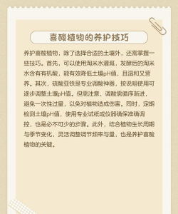 偏酸性花有哪些 偏酸性花有哪些