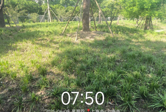 冬季如何有效进行庭院花园除草 冬季如何有效进行庭院花园除草