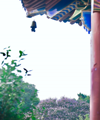 明孝陵赏花有哪些花 明孝陵赏花有哪些花