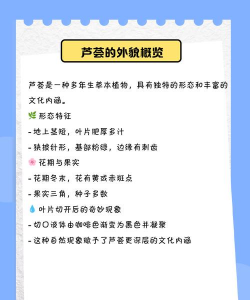 芦荟的品种,芦荟的特点 芦荟的品种,芦荟的特点