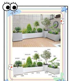 种植箱种植物怎么种的 种植箱种植物怎么种的