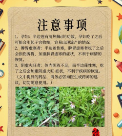 半边莲 半边莲百科 半边莲 半边莲百科