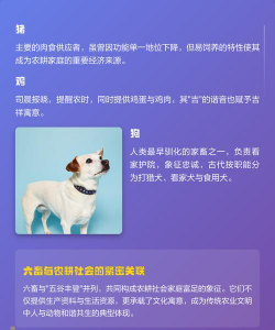 六畜指的是哪六畜 六畜指的是哪六畜