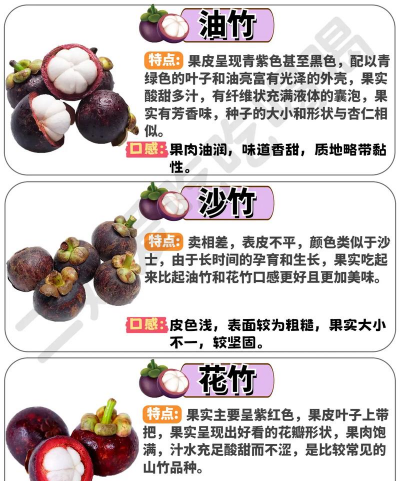 山竹 山竹百科 山竹 山竹百科