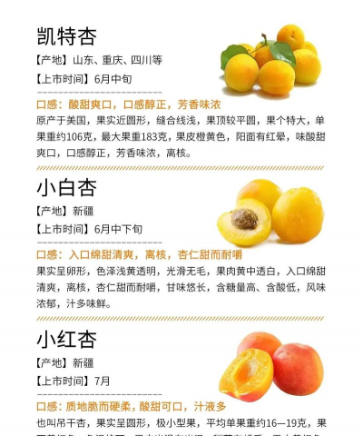 杏 杏百科 杏 杏百科