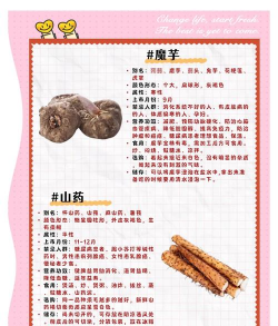 红薯 红薯百科 红薯 红薯百科