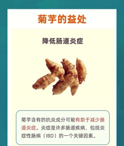 菊芋 菊芋百科 菊芋 菊芋百科