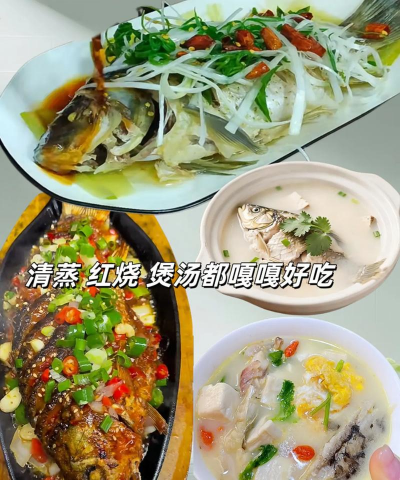 鲫鱼 鲫鱼百科 鲫鱼 鲫鱼百科