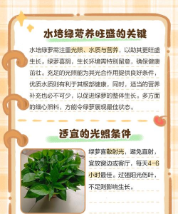 绿萝加点什么更旺盛 绿萝加点什么更旺盛